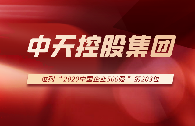 美狮贵宾会集团列2020中国企业500强第203位！