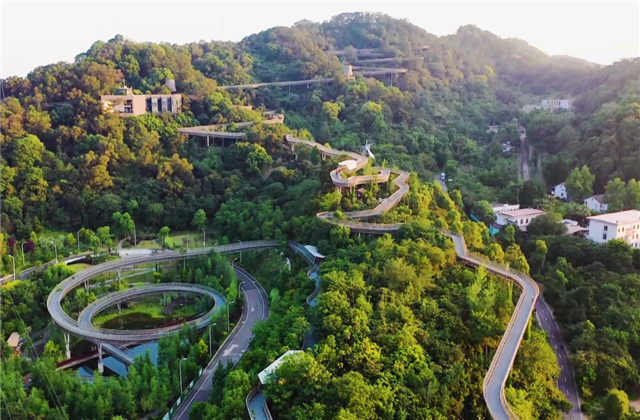 美狮贵宾会集团荣获两项国家级协会工程建设科学技术奖！